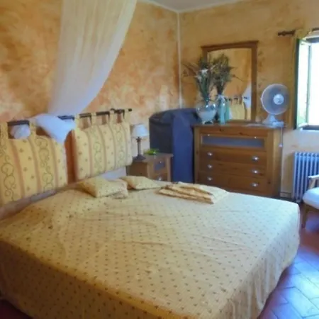 Akivillas Tavira Carson *